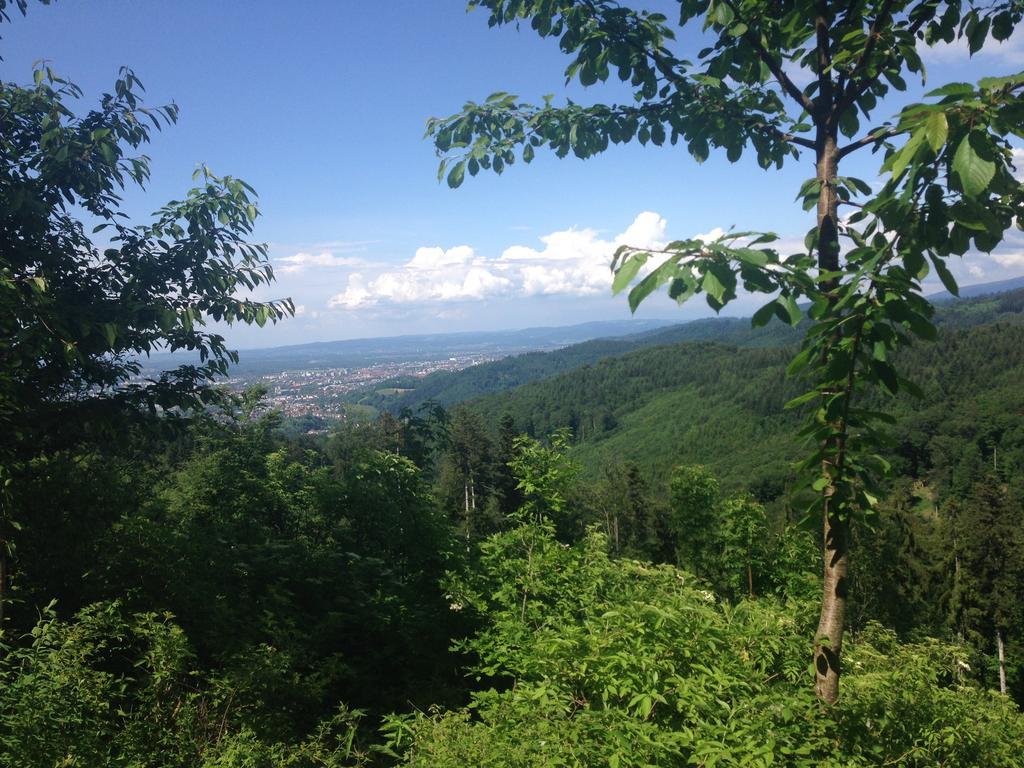 Luxus Appartement Schwarzwald Bei Freiburg 4 Schlafzimmer Sauna Sölden Eksteriør billede