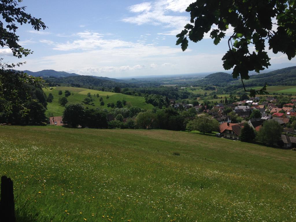 Luxus Appartement Schwarzwald Bei Freiburg 4 Schlafzimmer Sauna Sölden Eksteriør billede